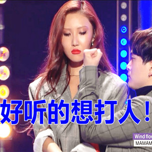 动漫人物打扎克的软件下载安装
