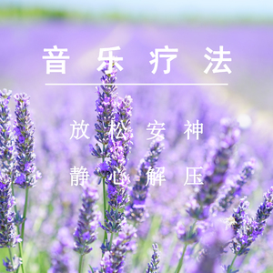 动漫人物打扎克的软件下载安装
